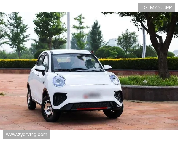 2-3万元是主力 在售低速电动车种类盘点 2-3万元是主力 在售低速电动车种类盘点