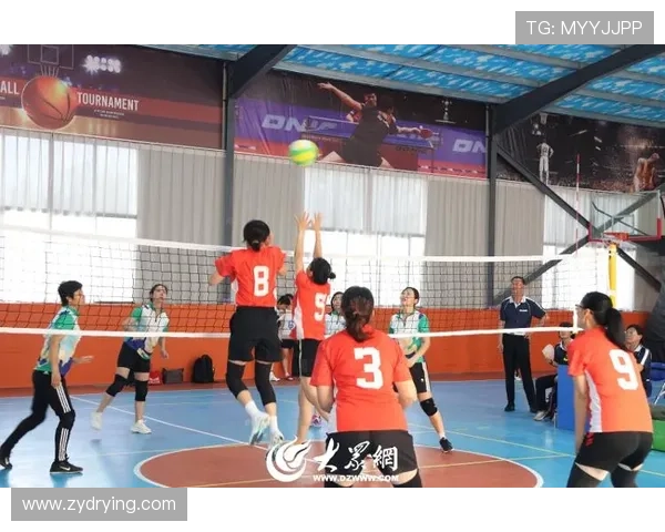 体育联赛和锦标赛（体育比赛联合队是什么意思）sports