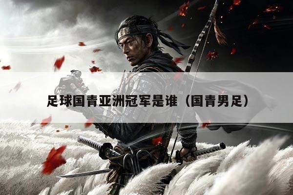 足球国青亚洲冠军是谁（国青男足）