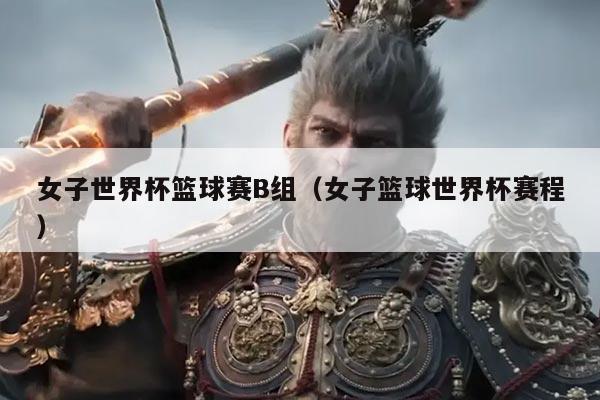 女子世界杯篮球赛B组(女子篮球世界杯赛程)