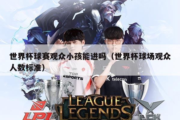 世界杯球赛观众小孩能进吗(世界杯球场观众人数标准)