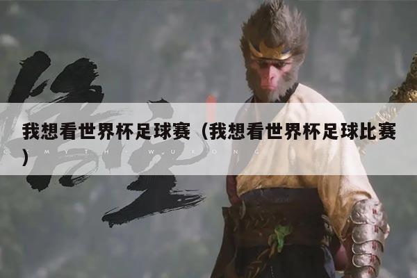 我想看世界杯足球赛（我想看世界杯足球比赛）
