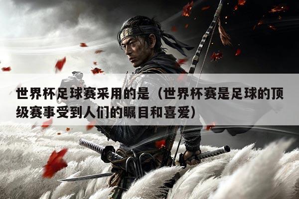 世界杯足球赛采用的是（世界杯赛是足球的顶级赛事受到人们的瞩目和喜爱）