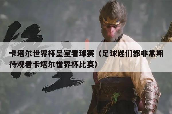 卡塔尔世界杯皇室看球赛（足球迷们都非常期待观看卡塔尔世界杯比赛）