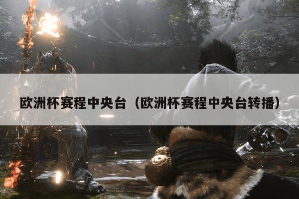 欧洲杯赛程中央台(欧洲杯赛程中央台转播)