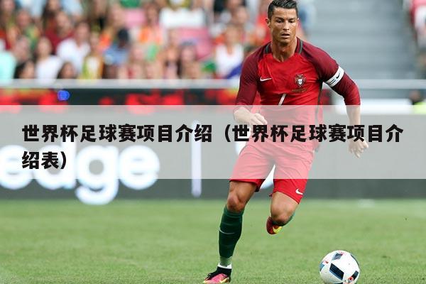 世界杯足球赛项目介绍(世界杯足球赛项目介绍表)