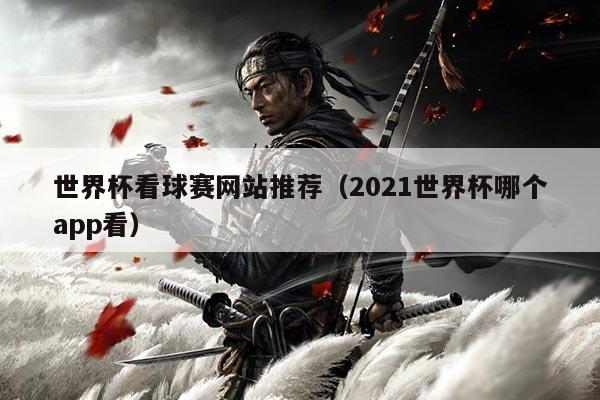 世界杯看球赛网站推荐(2021世界杯哪个app看)