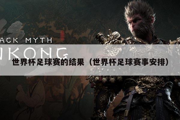 世界杯足球赛的结果(世界杯足球赛事安排)