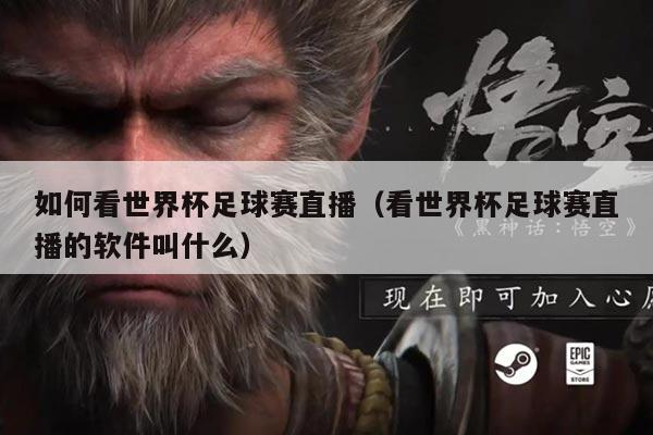 如何看世界杯足球赛直播(看世界杯足球赛直播的软件叫什么)