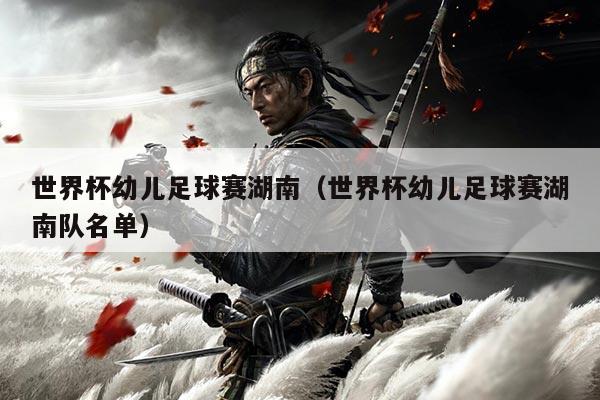 世界杯幼儿足球赛湖南(世界杯幼儿足球赛湖南队名单)