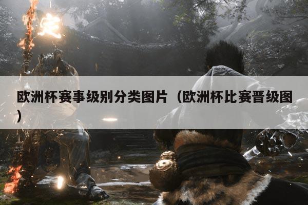 欧洲杯赛事级别分类图片(欧洲杯比赛晋级图)