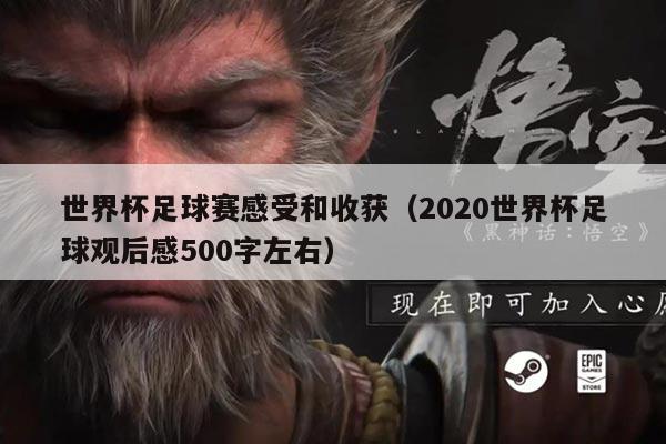 世界杯足球赛感受和收获(2020世界杯足球观后感500字左右)