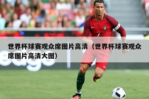 世界杯球赛观众席图片高清(世界杯球赛观众席图片高清大图)