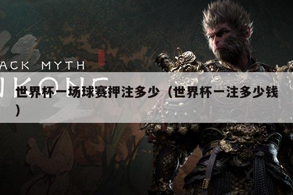 世界杯一场球赛押注多少(世界杯一注多少钱)