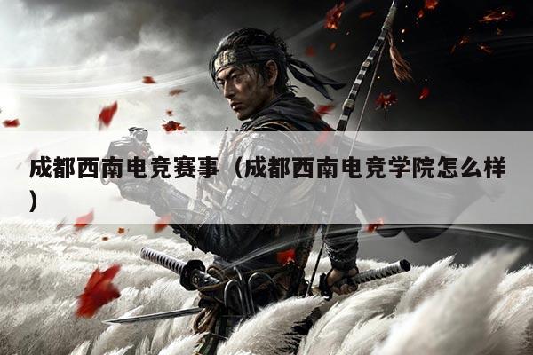 成都西南电竞赛事(成都西南电竞学院怎么样)