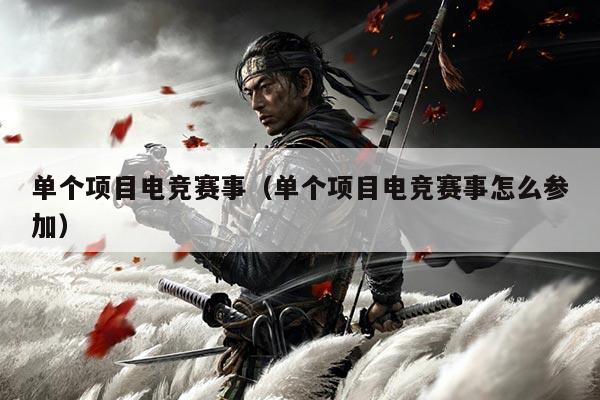 单个项目电竞赛事(单个项目电竞赛事怎么参加)
