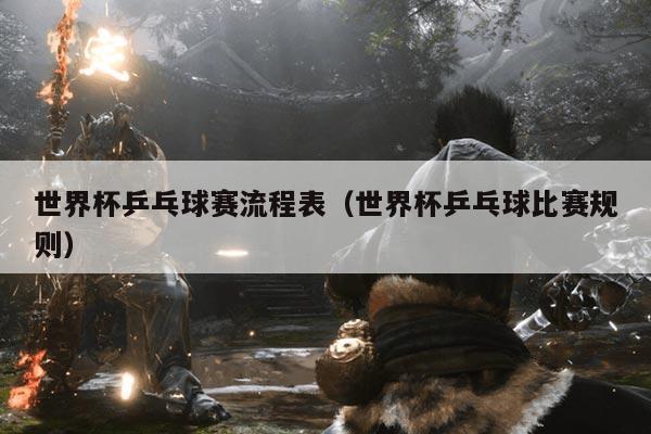 世界杯乒乓球赛流程表(世界杯乒乓球比赛规则)