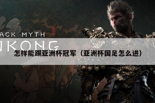 怎样能踢亚洲杯冠军(亚洲杯国足怎么进)