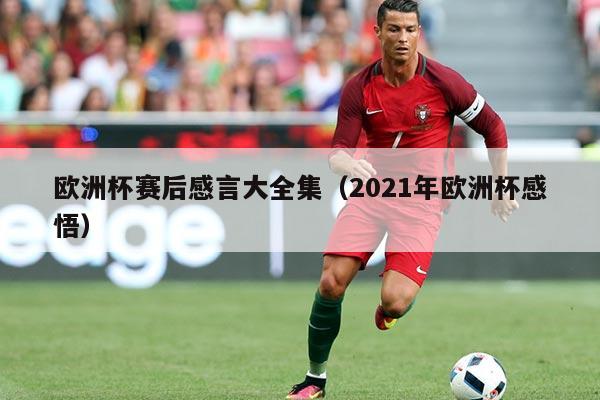 欧洲杯赛后感言大全集（2021年欧洲杯感悟）