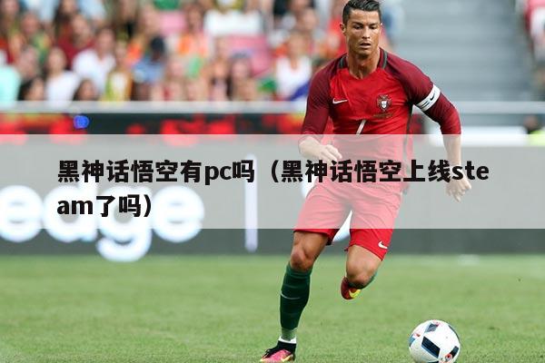 黑神话悟空有pc吗(黑神话悟空上线steam了吗)