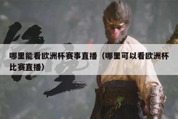 哪里能看欧洲杯赛事直播(哪里可以看欧洲杯比赛直播)