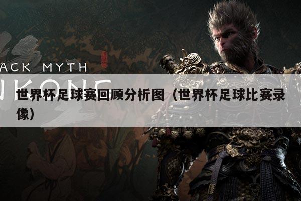 世界杯足球赛回顾分析图(世界杯足球比赛录像)