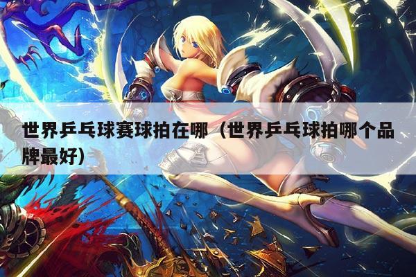 世界乒乓球赛球拍在哪(世界乒乓球拍哪个品牌最好)