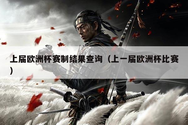 上届欧洲杯赛制结果查询(上一届欧洲杯比赛)