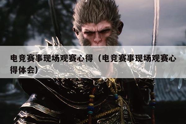 电竞赛事现场观赛心得（电竞赛事现场观赛心得体会）