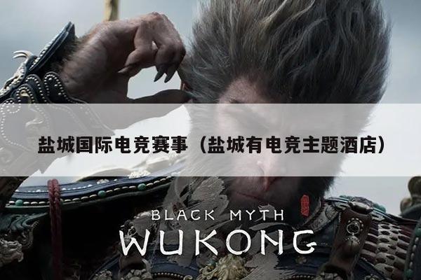 盐城国际电竞赛事(盐城有电竞主题酒店)