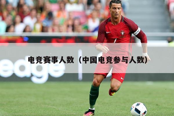 电竞赛事人数(中国电竞参与人数)