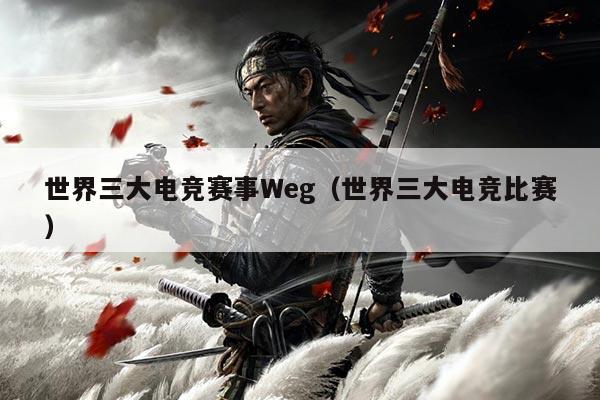 世界三大电竞赛事Weg(世界三大电竞比赛)