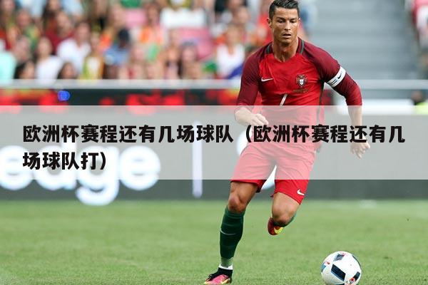 欧洲杯赛程还有几场球队(欧洲杯赛程还有几场球队打)