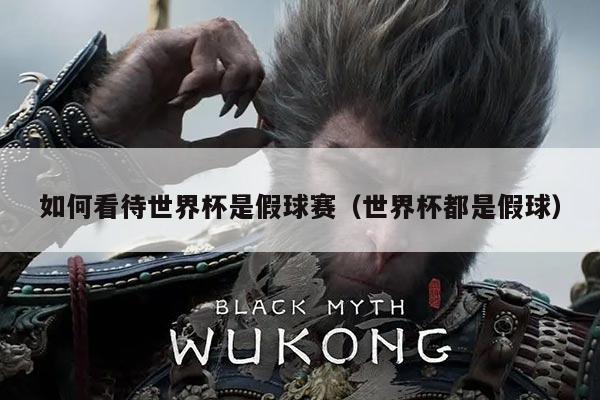 如何看待世界杯是假球赛(世界杯都是假球)