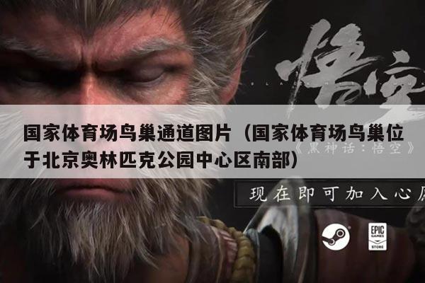 国家体育场鸟巢通道图片(国家体育场鸟巢位于北京奥林匹克公园中心区南部)