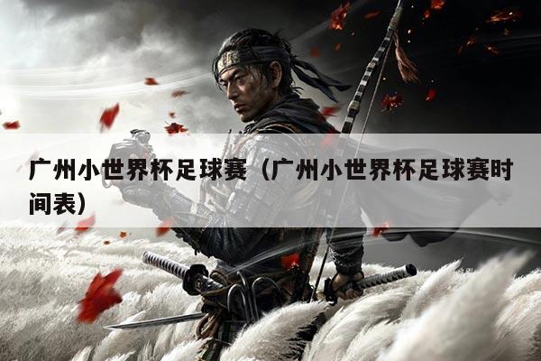 广州小世界杯足球赛（广州小世界杯足球赛时间表）