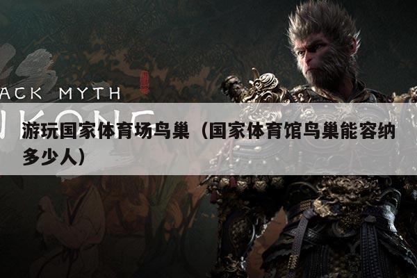 游玩国家体育场鸟巢（国家体育馆鸟巢能容纳多少人）