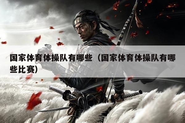 国家体育体操队有哪些(国家体育体操队有哪些比赛)