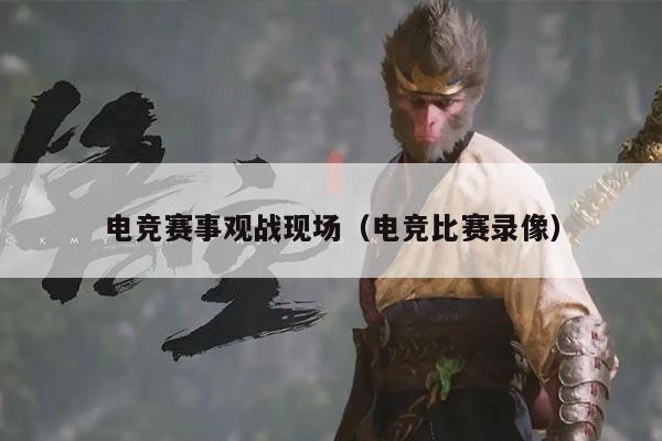 电竞赛事观战现场(电竞比赛录像)