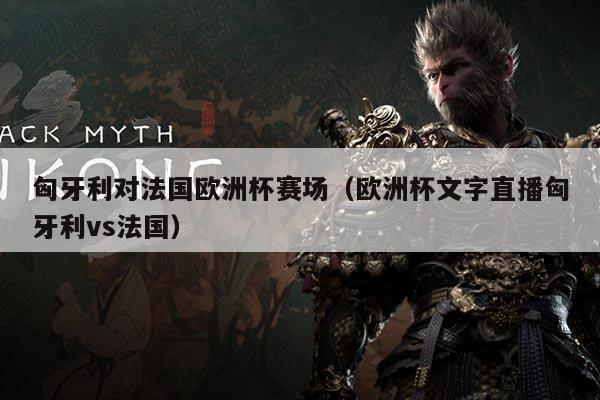 匈牙利对法国欧洲杯赛场(欧洲杯文字直播匈牙利vs法国)