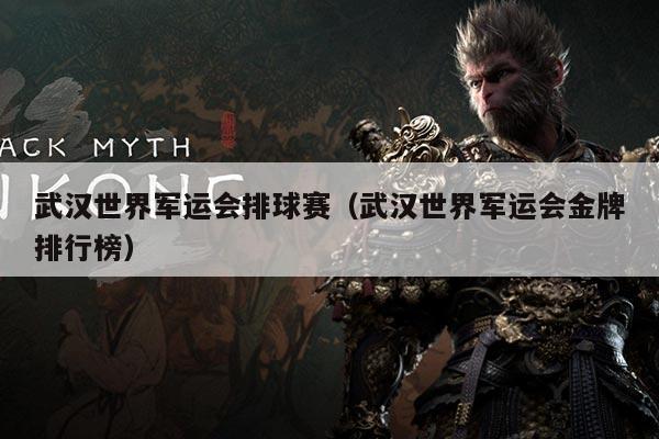 武汉世界军运会排球赛(武汉世界军运会金牌排行榜)