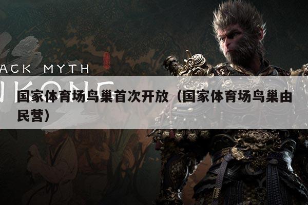 国家体育场鸟巢首次开放(国家体育场鸟巢由民营)