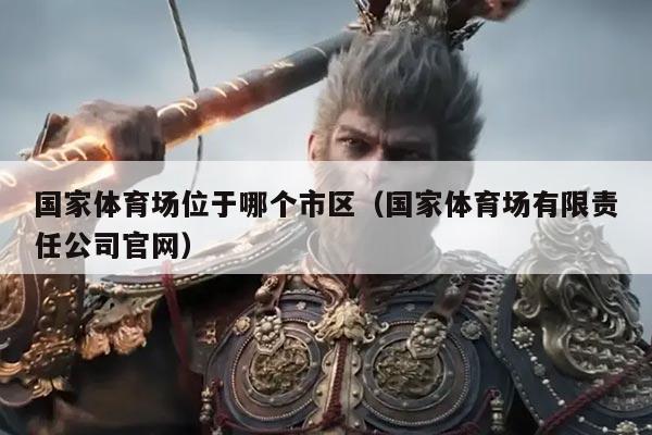 国家体育场位于哪个市区(国家体育场有限责任公司官网)