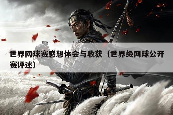 世界网球赛感想体会与收获(世界级网球公开赛评述)