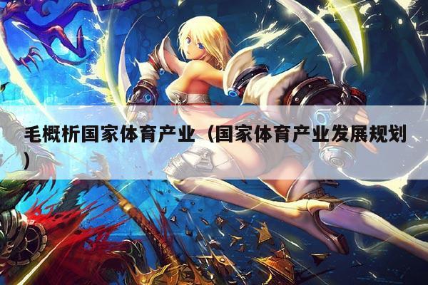 毛概析国家体育产业(国家体育产业发展规划)