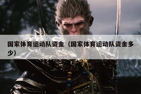 国家体育运动队资金(国家体育运动队资金多少)