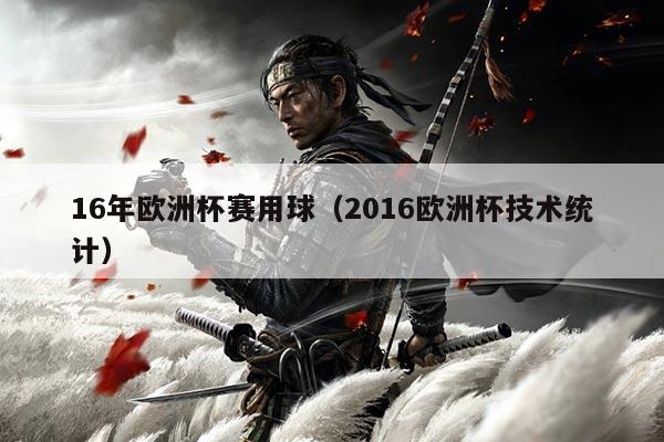 16年欧洲杯赛用球(2016欧洲杯技术统计)
