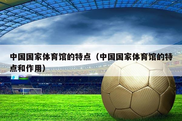 中国国家体育馆的特点（中国国家体育馆的特点和作用）