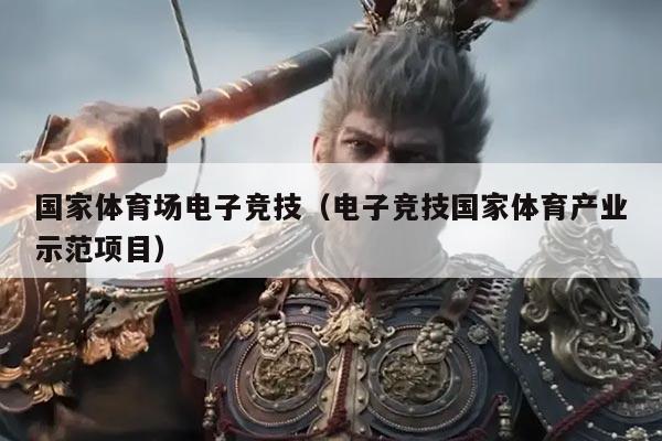 国家体育场电子竞技(电子竞技国家体育产业示范项目)