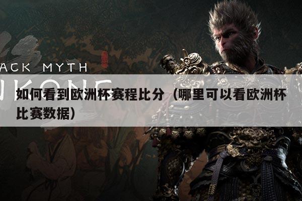 如何看到欧洲杯赛程比分(哪里可以看欧洲杯比赛数据)